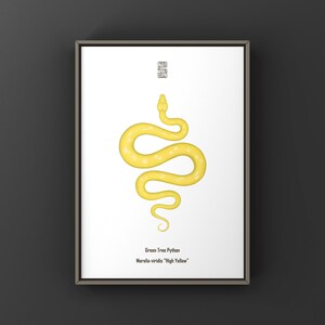 May include: A framed print featuring a yellow Green Tree Python illustration. The snake is depicted in a stylized, winding pose against a white background. Text at the bottom reads "Green Tree Python, Morelia viridis 'High Yellow'".