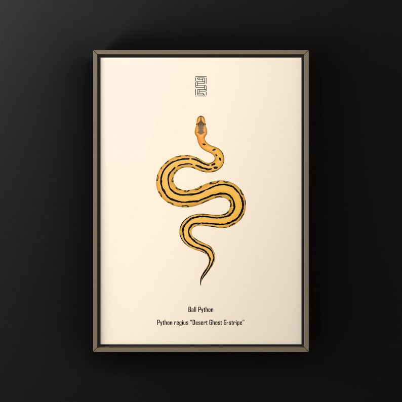 Desert Ghost G-stripe Ball Python Python regius art print by The Morph Archive, ball python morph illustration by Mingo X.
