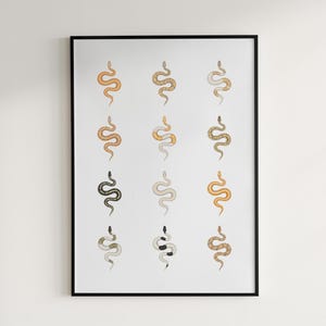Ball Python poster series 2 Python regius advanced morph collection art print by The Morph Archive, designer snake artwork by Mingo X.
