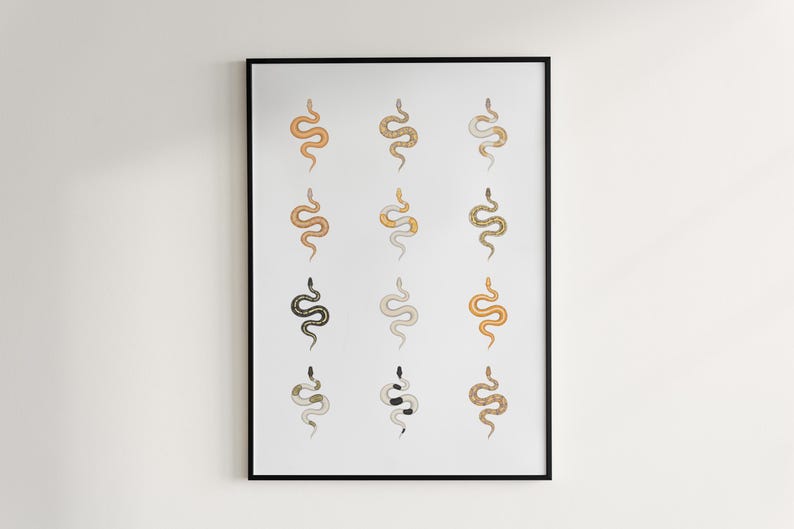 Ball Python poster series 2 Python regius advanced morph collection art print by The Morph Archive, designer snake artwork by Mingo X.