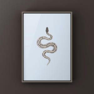 Mystic Potion Ball Python Python regius art print by The Morph Archive, colorful snake artwork by Mingo X.