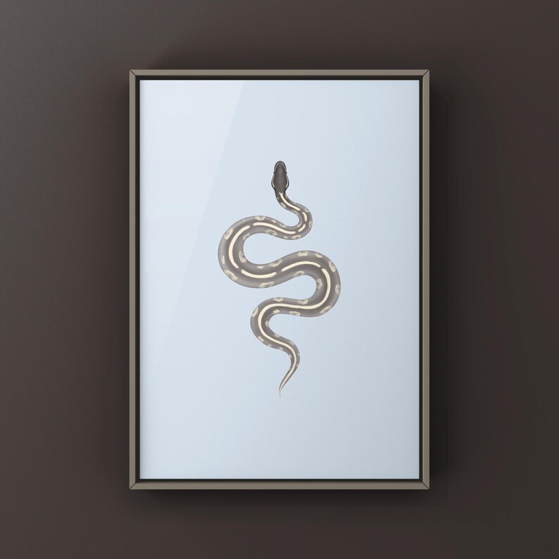 Mystic Potion Ball Python Python regius art print by The Morph Archive, colorful snake artwork by Mingo X.