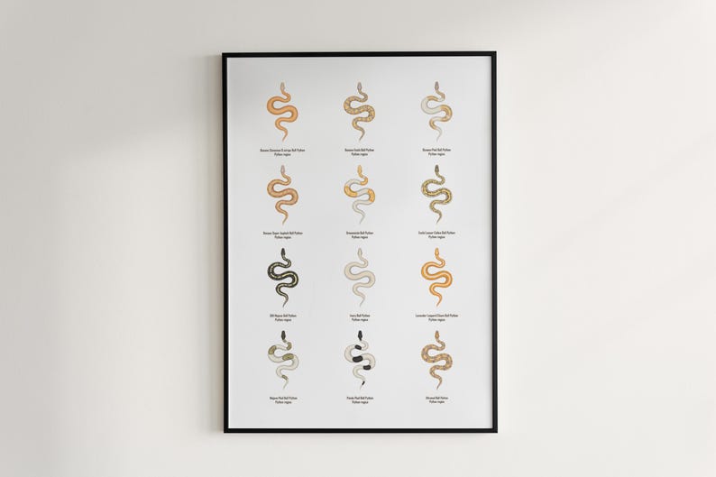 Ball Python poster series 2 Python regius advanced morph collection art print by The Morph Archive, designer snake artwork by Mingo X.