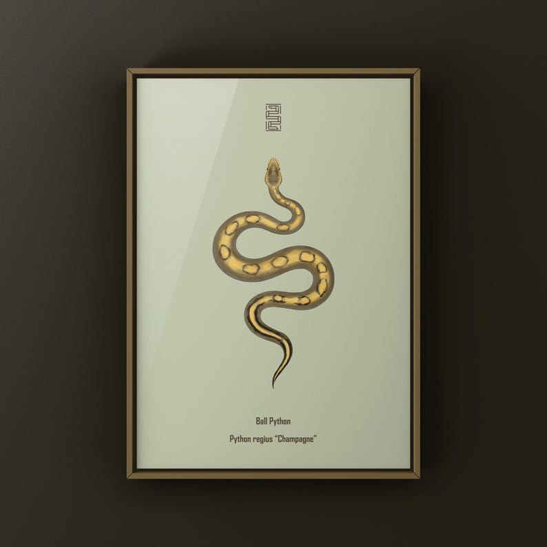 Champagne Ball Python Python regius art print by The Morph Archive, ball python morph illustration by Mingo X.