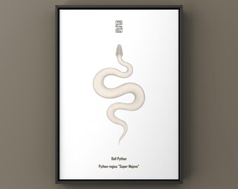 Lámina artística de la pitón bola Super Mojave (Python regius), ilustración biológica, decoración de pared con forma de serpiente.