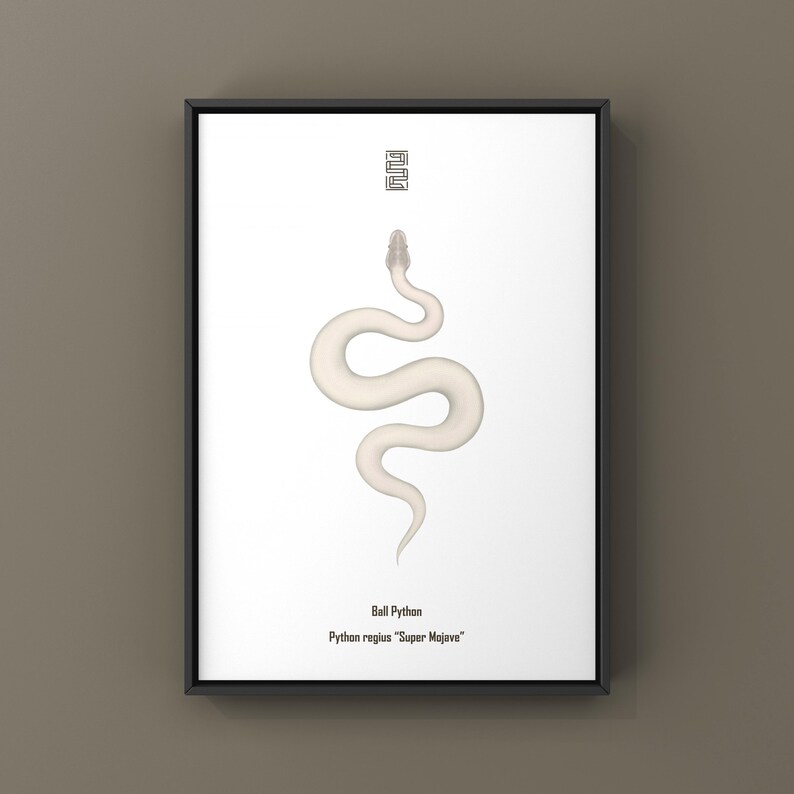 Super Mojave Ball Python Python regius art print by The Morph Archive, leucistic snake artwork by Mingo X.