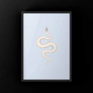 Super Mojave Ball Python Python regius art print by The Morph Archive, leucistic snake artwork by Mingo X.