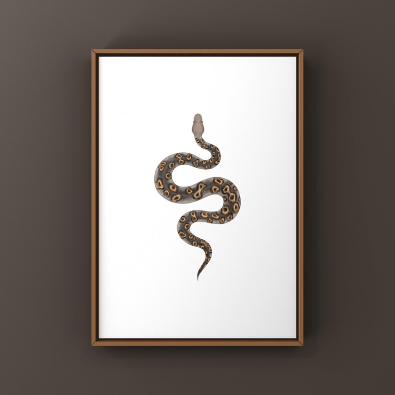 Kraken Ball Python Python regius art print by The Morph Archive, detailed morph python artwork.
