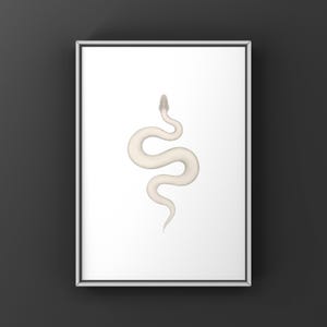 Super Mojave Ball Python Python regius art print by The Morph Archive, leucistic snake artwork by Mingo X.