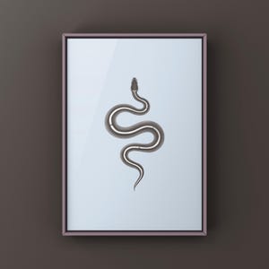 Black Pastel Mystic Potion Ball Python Python regius art print by The Morph Archive, ball python morph illustration by Mingo X.