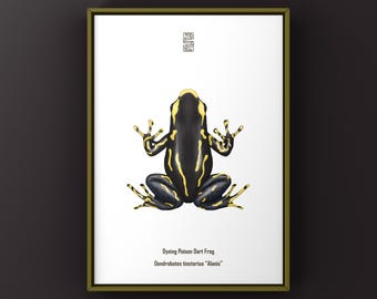 Impresión artística de la rana dardo venenosa teñida Alanis (Dendrobates tinctorius), ilustración biológica, decoración de pared con serpientes
