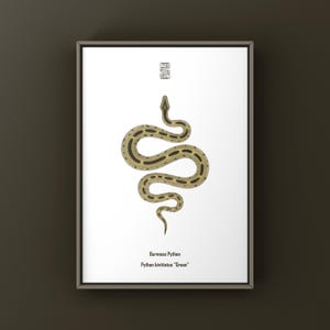 Stampa artistica del pitone verde birmano (Python bivittatus), illustrazione biologica, decorazione murale a forma di serpente