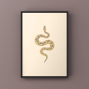 Banana Clown Ball Python Python regius art print by The Morph Archive, designer snake artwork by Mingo X.