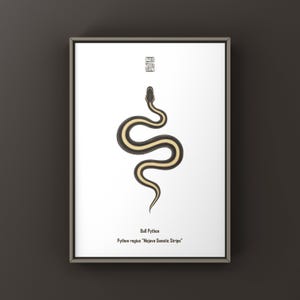 Puede incluir: Una lámina artística enmarcada con una ilustración minimalista de una pitón bola con cuerpo marrón oscuro y una franja de color crema claro a lo largo del lomo. El texto dice Ball Python y Python regius Mojave Genetic Stripe.