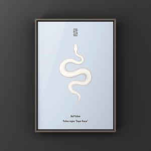 Super Russo Ball Python Python regius art print by The Morph Archive, leucistic snake artwork by Mingo X.