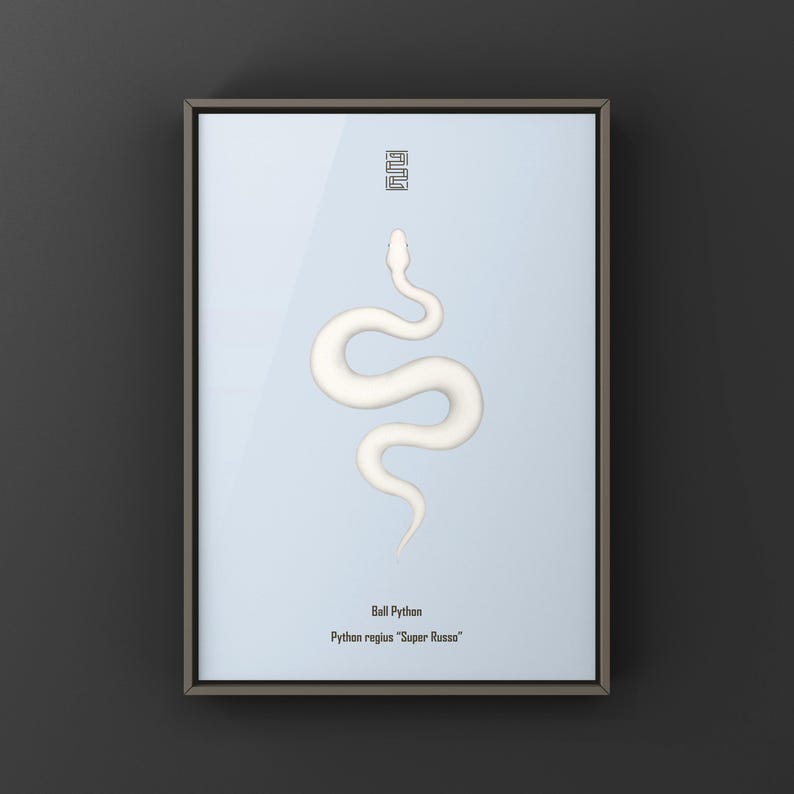 Super Russo Ball Python Python regius art print by The Morph Archive, leucistic snake artwork by Mingo X.