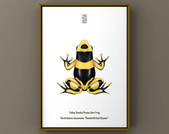Impresión artística de rana venenosa dardo de la Guyana Británica (Dendrobates leucomelas), ilustración biológica, decoración de pared con serpientes