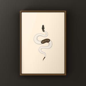 Cinnamon Pied Ball Python Python regius art print by The Morph Archive, piebald snake artwork by Mingo X.