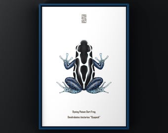 Impresión artística de la rana dardo venenosa teñida Oyapock (Dendrobates tinctorius), ilustración biológica, decoración de pared con serpientes