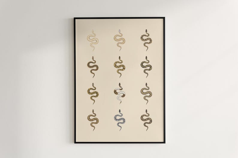 Ball Python poster series 1 Python regius morph collection art print by The Morph Archive, snake artwork by Mingo X.