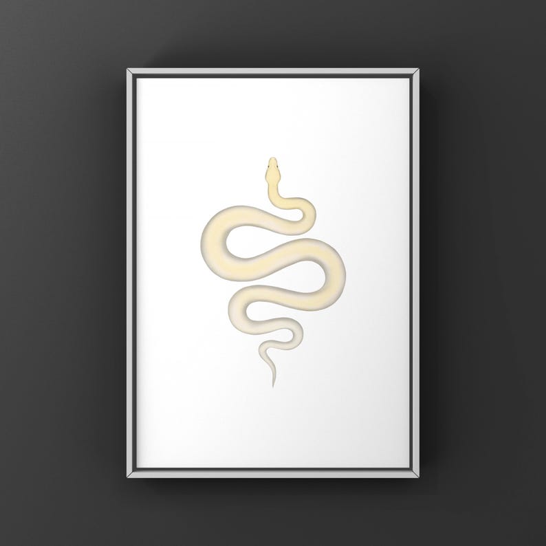 Ivory Burmese Python Python bivittatus art print by The Morph Archive, soft ivory-toned python artwork.