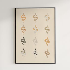 Ball Python poster series 2 Python regius advanced morph collection art print by The Morph Archive, designer snake artwork by Mingo X.