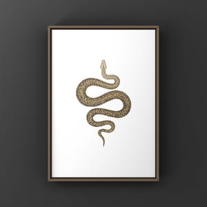 Granite Burmese Python Python bivittatus art print by The Morph Archive, python illustration by Mingo X.