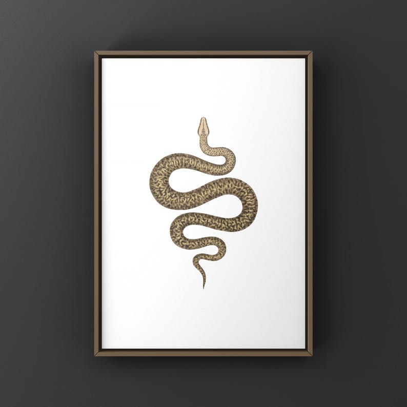 Granite Burmese Python Python bivittatus art print by The Morph Archive, python illustration by Mingo X.