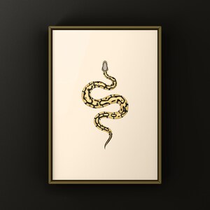 Pastel Desert Ghost Ball Python Python regius art print by The Morph Archive, ball python morph illustration by Mingo X.