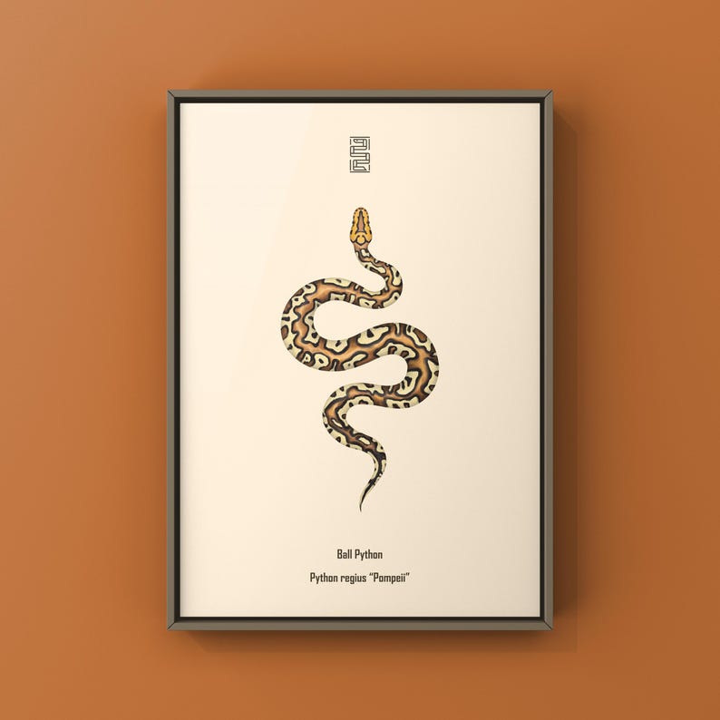 Pompeii Ball Python Python regius art print by The Morph Archive, detailed ball python morph artwork.