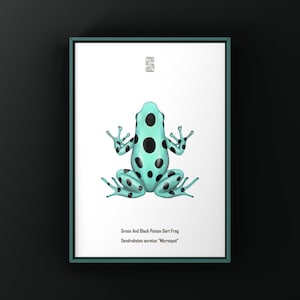 Può includere: Stampa incorniciata con un'illustrazione di una rana freccia velenosa turchese e nera. La rana ha macchie nere ed è centrata su uno sfondo bianco. Il testo recita "Green And Black Poison Dart Frog Dendrobates auratus "Microspot".