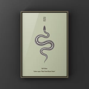 Black Pastel Mystic Potion Ball Python Python regius art print by The Morph Archive, ball python morph illustration by Mingo X.