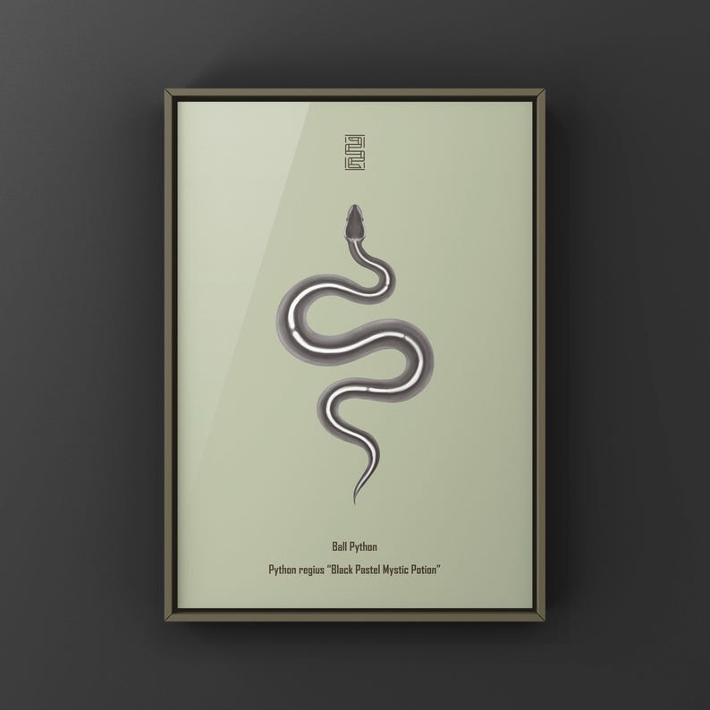 Black Pastel Mystic Potion Ball Python Python regius art print by The Morph Archive, ball python morph illustration by Mingo X.