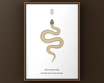 Super Anaconda Western Hognose Snake Art Print (Heterodon nasicus), Snake Illustration Featuring Clean Minimal Biological Art