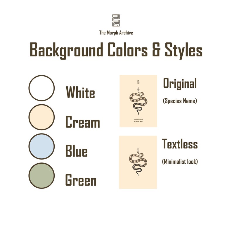 Pyton birmański (Python bivittatus) – wydruk artystyczny, ilustracja biologiczna, dekoracja ścienna z wężem zdjęcie 9