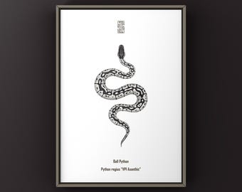 VPI アキサンティック ボールパイソン アートプリント、生物学的イラスト、ヘビの壁飾り