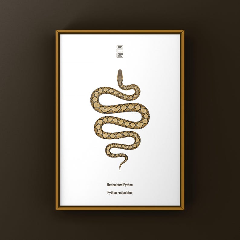 Reticulated Python Python reticulatus art print by The Morph Archive, python illustration by Mingo X.