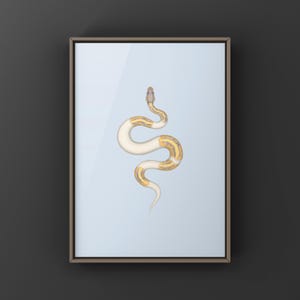 Banana Pied Ball Python Python regius art print by The Morph Archive, colorful piebald snake artwork by Mingo X.