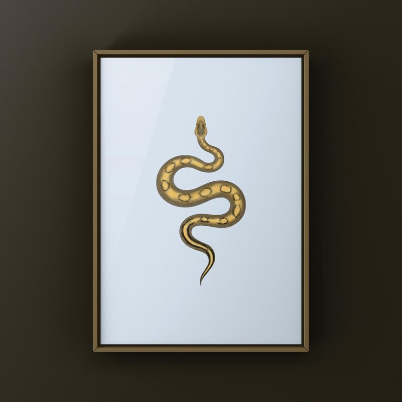 Champagne Ball Python Python regius art print by The Morph Archive, ball python morph illustration by Mingo X.
