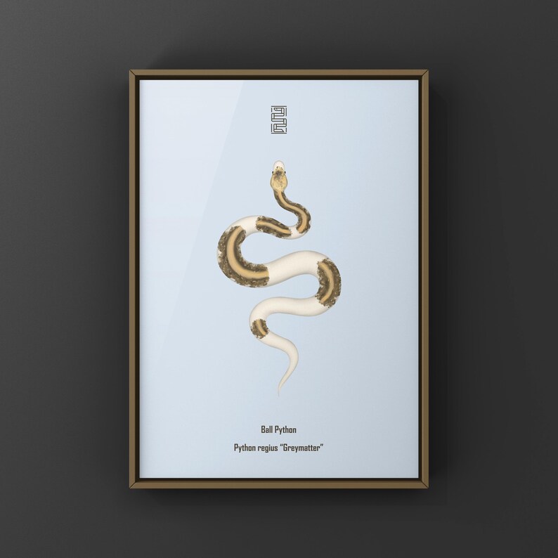Greymatter Ball Python Python regius art print by The Morph Archive, ball python morph illustration by Mingo X.
