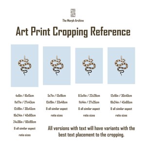 Pyton birmański (Python bivittatus) – wydruk artystyczny, ilustracja biologiczna, dekoracja ścienna z wężem zdjęcie 10