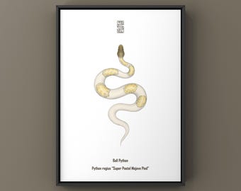 Lámina artística de pitón bola Mojave Pied (Python regius) en tonos pastel, ilustración biológica, decoración de pared con forma de serpiente.