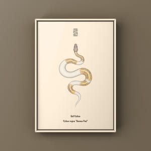 Banana Pied Ball Python Python regius art print by The Morph Archive, colorful piebald snake artwork by Mingo X.