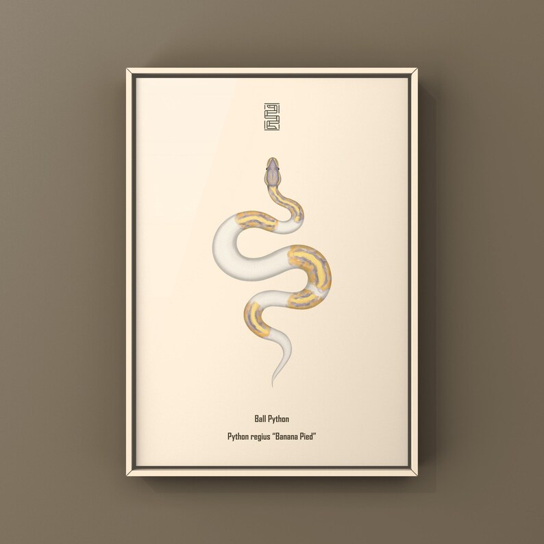 Banana Pied Ball Python Python regius art print by The Morph Archive, colorful piebald snake artwork by Mingo X.