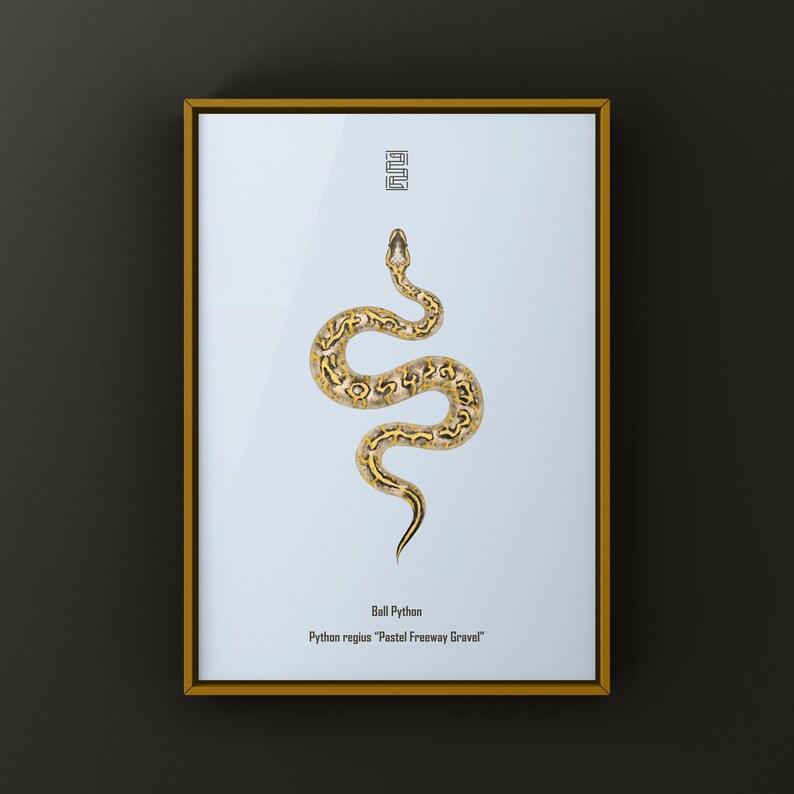 Pastel Freeway Gravel Ball Python Python regius art print by The Morph Archive, multi-gene snake artwork by Mingo X.