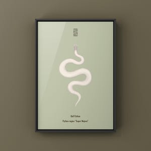 Super Mojave Ball Python Python regius art print by The Morph Archive, leucistic snake artwork by Mingo X.