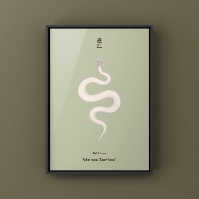 Super Mojave Ball Python Python regius art print by The Morph Archive, leucistic snake artwork by Mingo X.