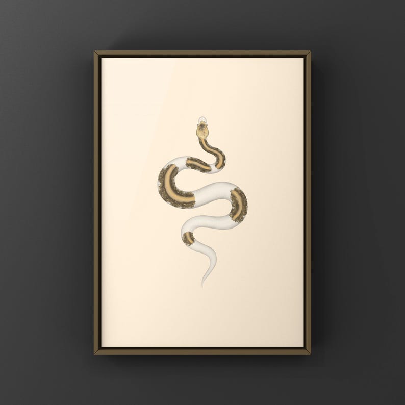 Greymatter Ball Python Python regius art print by The Morph Archive, ball python morph illustration by Mingo X.