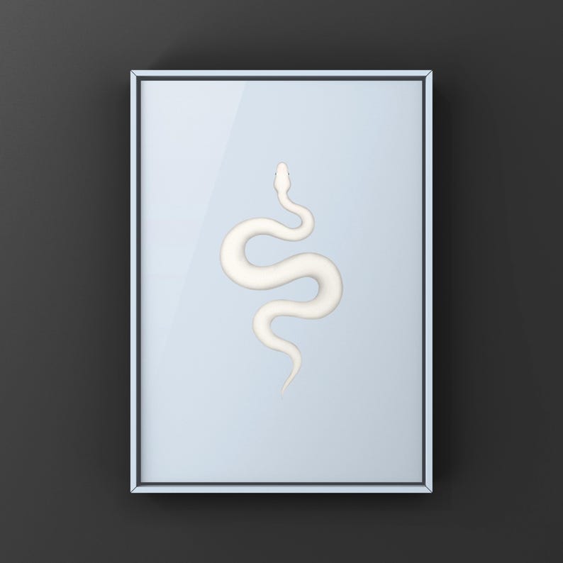 Super Russo Ball Python Python regius art print by The Morph Archive, leucistic snake artwork by Mingo X.