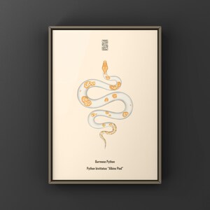 Albino Pied Burmese Python Python bivittatus art print by The Morph Archive, python illustration by Mingo X.